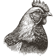 Icono de Aves, FASZEN