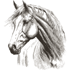 Icono de Caballos, FASZEN